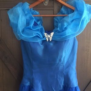 Cinderella Costume